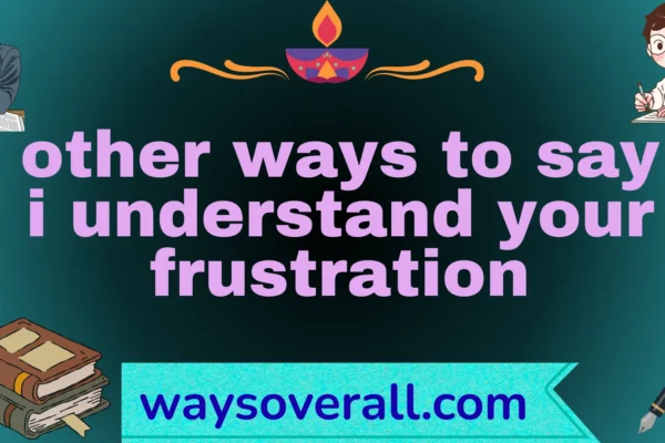 other ways to say i understand your frustration