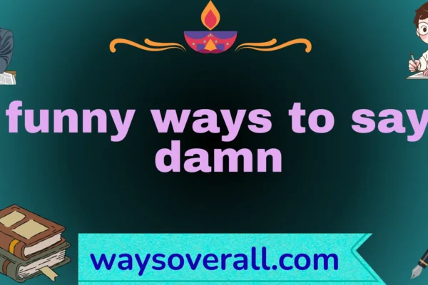 funny ways to say damn