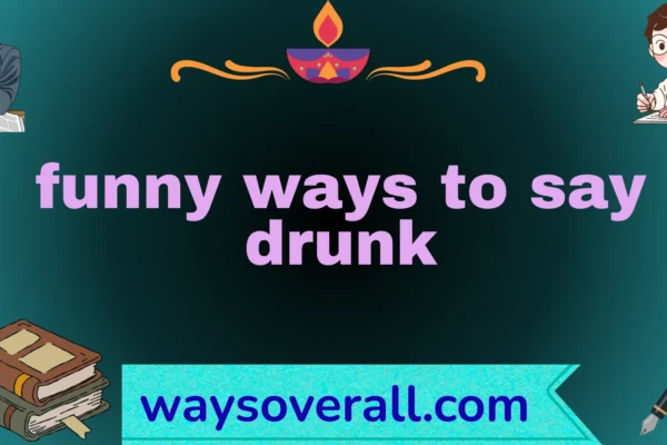 funny ways to say drunk