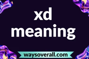 xd meaning
