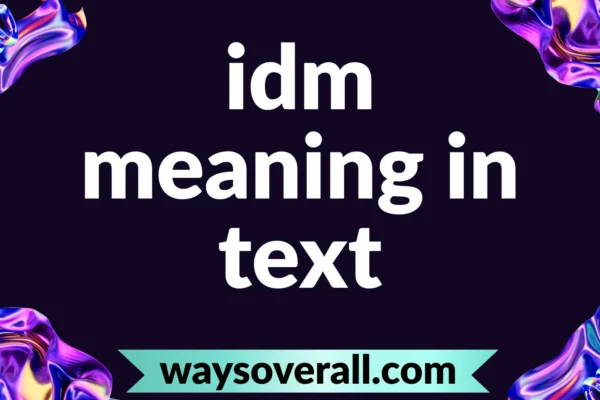 idm meaning in text