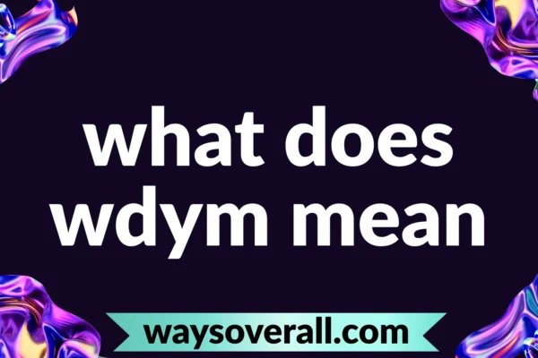 what does wdym mean