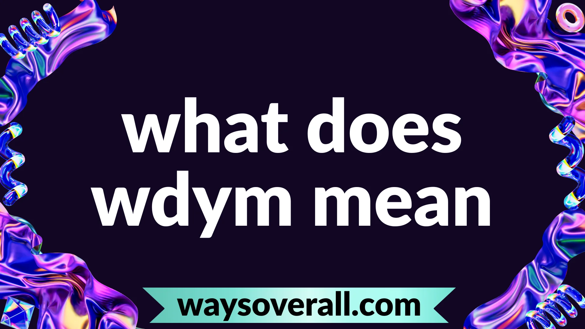 what does wdym mean