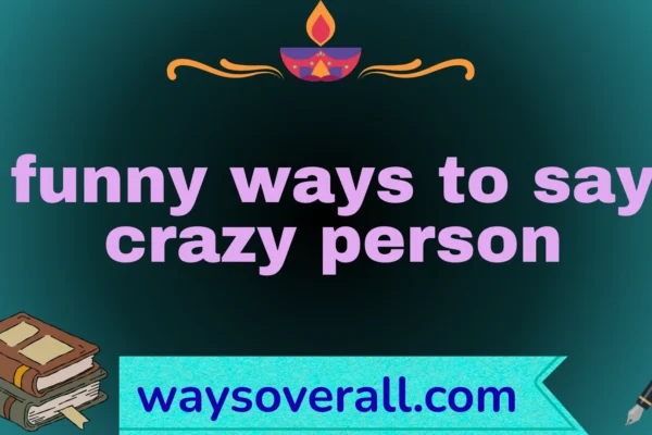 funny ways to say crazy person