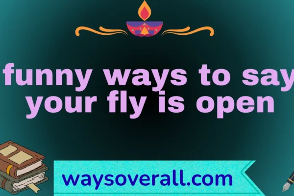funny ways to say your fly is open
