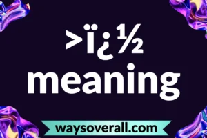 >ï¿½ meaning