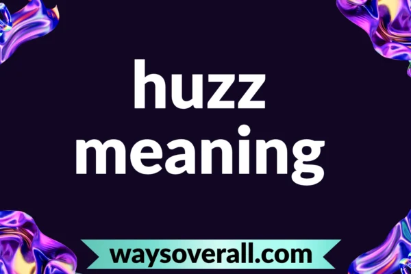 huzz meaning