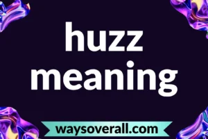 huzz meaning