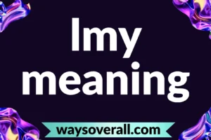 lmy meaning