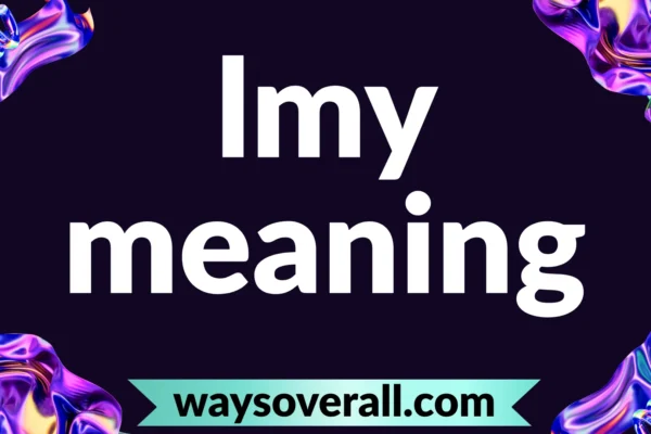 lmy meaning