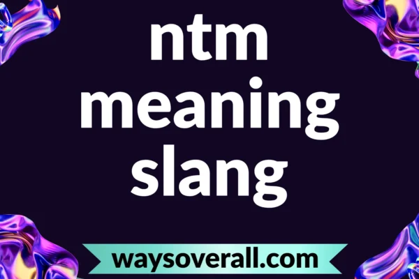 ntm meaning slang
