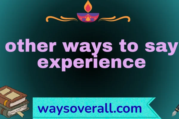 other ways to say experience