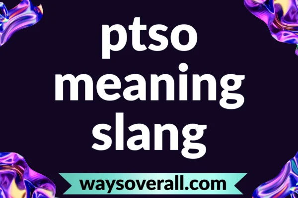 ptso meaning slang