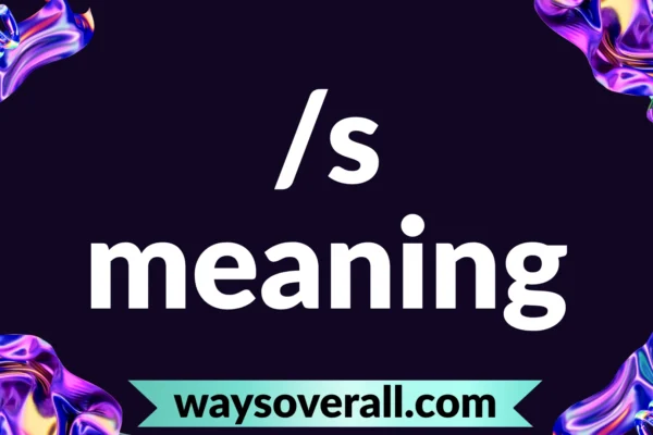 /s meaning