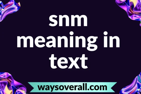snm meaning in text