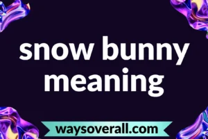 snow bunny meaning