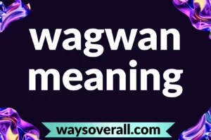 wagwan meaning