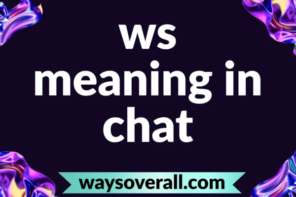 ws meaning in chat