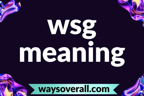 wsg meaning