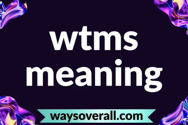 wtms meaning