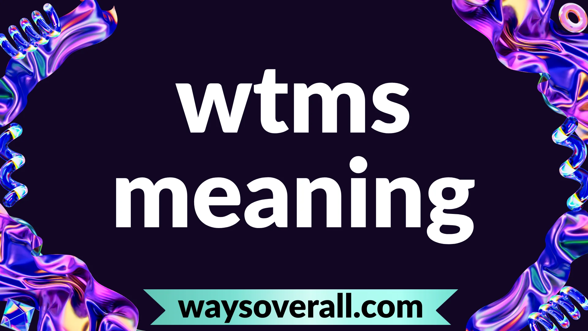 wtms meaning