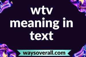 wtv meaning in text