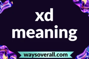 xd meaning