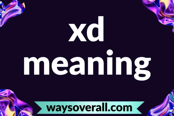 xd meaning