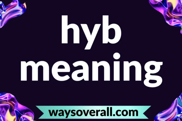 hyb meaning