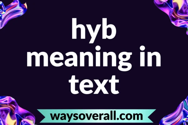 hyb meaning in text