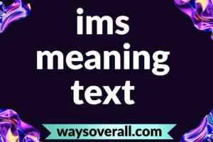ims meaning text