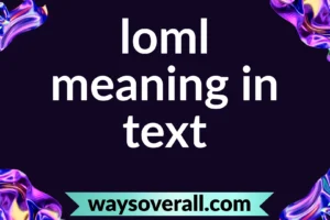 loml meaning in text