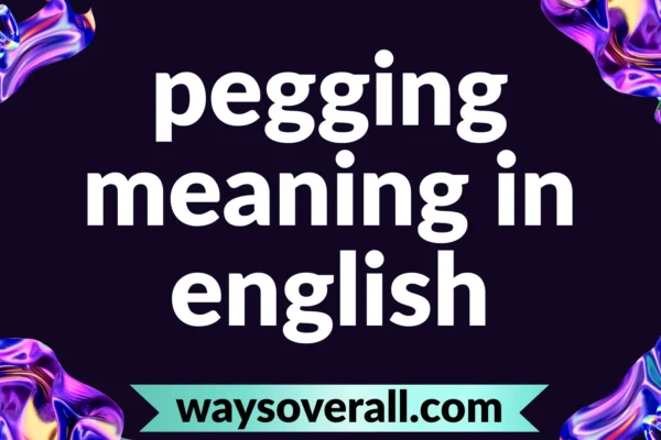 pegging meaning in english