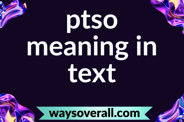 ptso meaning in text