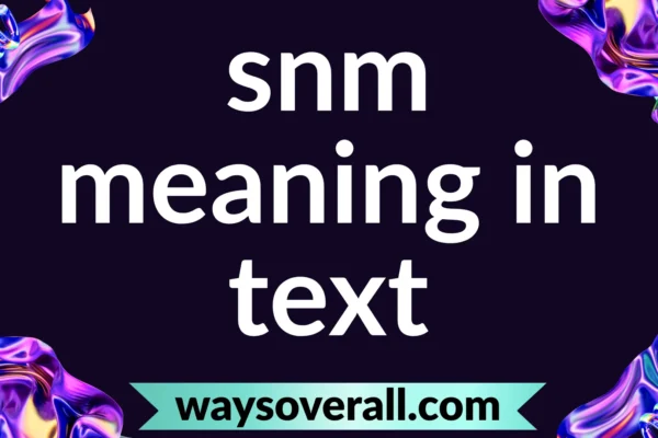 snm meaning in text
