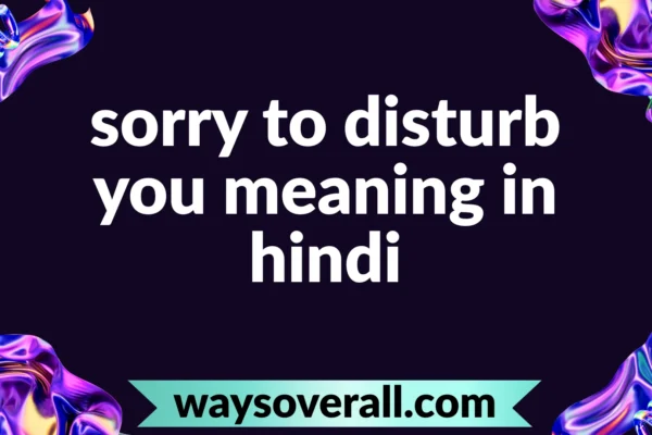 sorry to disturb you meaning in hindi