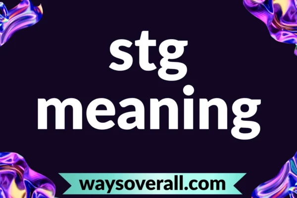 stg meaning