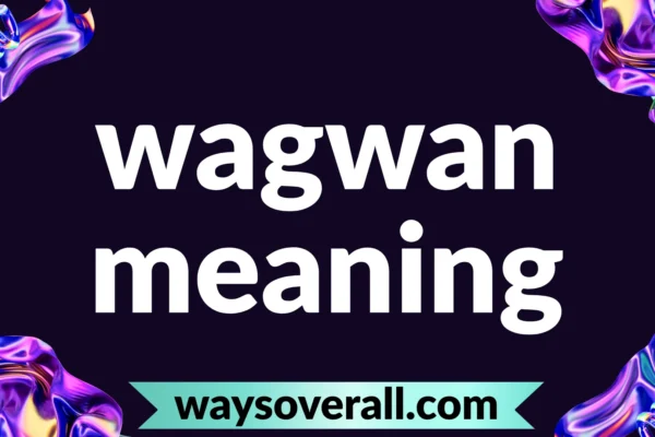 wagwan meaning