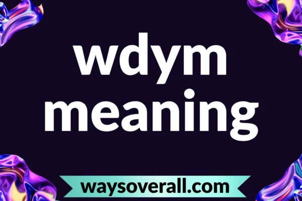 wdym meaning