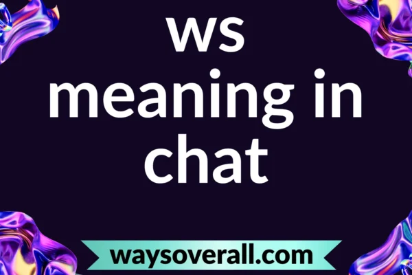 ws meaning in chat