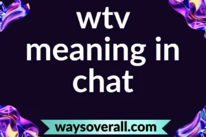 wtv meaning in chat