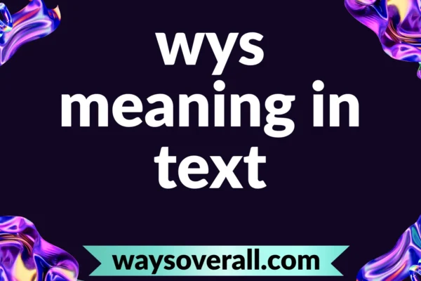 wys meaning in text