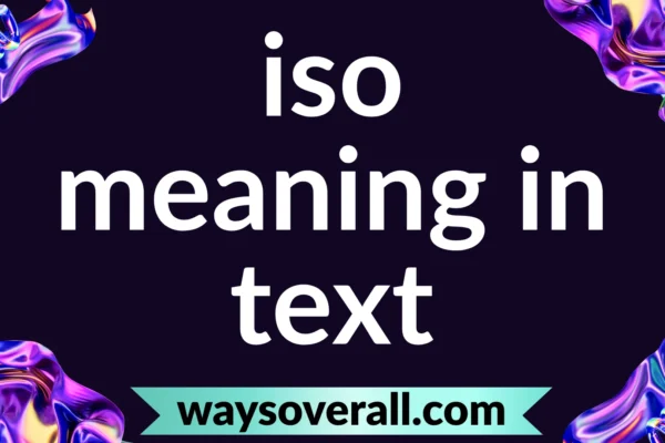 iso meaning in text