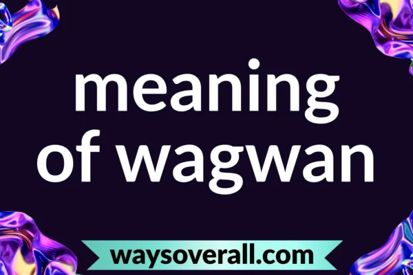 meaning of wagwan