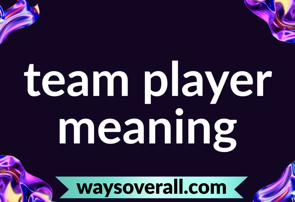 team player meaning