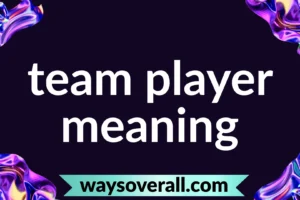 team player meaning
