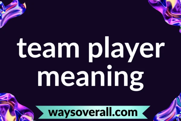 team player meaning